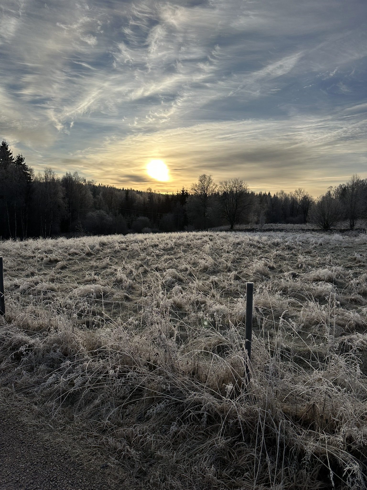Frosty meadow at sunrise in Swedish countryside