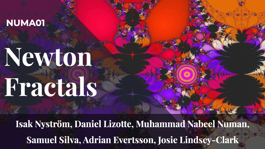 Newton Fractals visualization using the Jacobian matrix